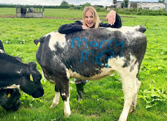 بالفيديو والصور: شاب بريطاني يعرض الزواج على حبيبته مستعينا بالبقر صورة رقم 6