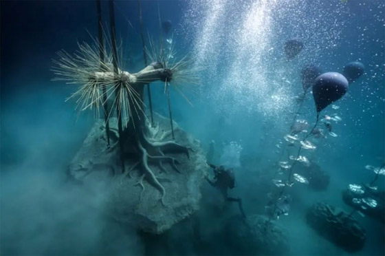 غابة غارقة من المنحوتات تنمو تحت الماء في البحر الأبيض المتوسط صورة رقم 1