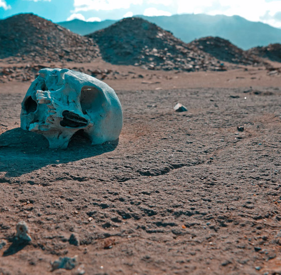 دراسة تضع تاريخا محتملا لانقراض البشرية على الأرض بسبب الأوبئة صورة رقم 6