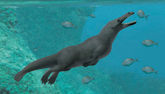 مصر.. اكتشاف حوت برمائي نادر يستطيع العيش تحت الماء وفوق اليابسة صورة رقم 3