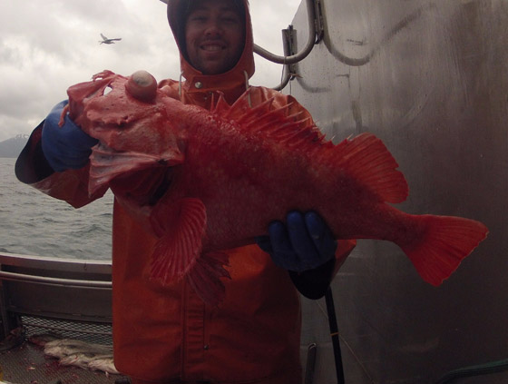 حيوانات خالدة لا تصدق.. تعرفوا إلى أطول 10 مخلوقات عمرا! صور صورة رقم 2