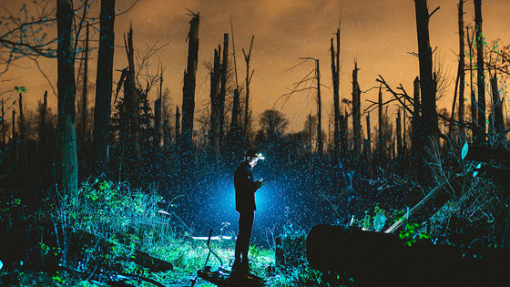 بسبب عاصفة شمسية.. باحث يحذر من انقطاع الإنترنت لأسابيع! صورة رقم 7