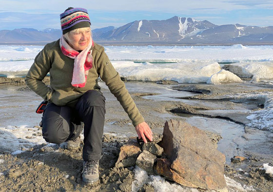 تقع بأقصى شمال العالم.. علماء يكتشفون أصغر جزيرة عن طريق الصدفة صورة رقم 4