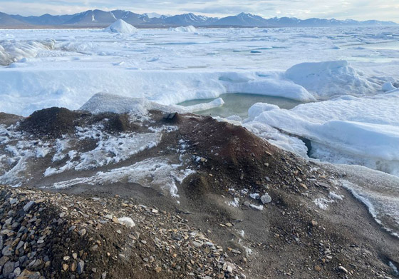 تقع بأقصى شمال العالم.. علماء يكتشفون أصغر جزيرة عن طريق الصدفة صورة رقم 5