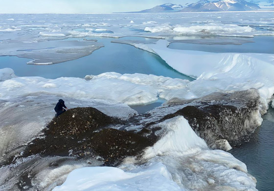 تقع بأقصى شمال العالم.. علماء يكتشفون أصغر جزيرة عن طريق الصدفة صورة رقم 6