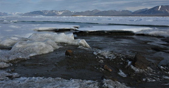 تقع بأقصى شمال العالم.. علماء يكتشفون أصغر جزيرة عن طريق الصدفة صورة رقم 7