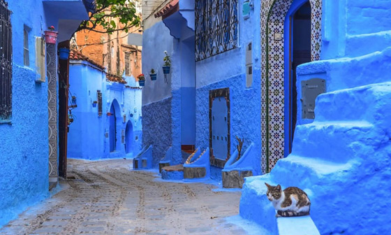 أحدها عربي.. تعرفوا إلى 7 من أروع شوارع العالم وأفضلها (صور) صورة رقم 4