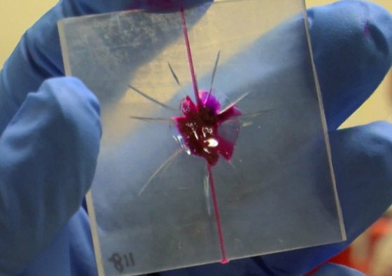 جهاز يكشف رائحة الجسم.. إليكم 6 اختراعات غريبة لم تسمعوا بها من قبل صورة رقم 5 جهاز يكشف رائحة الجسم.. إليكم 6 اختراعات غريبة لم تسمعوا بها من قبل صورة رقم 5