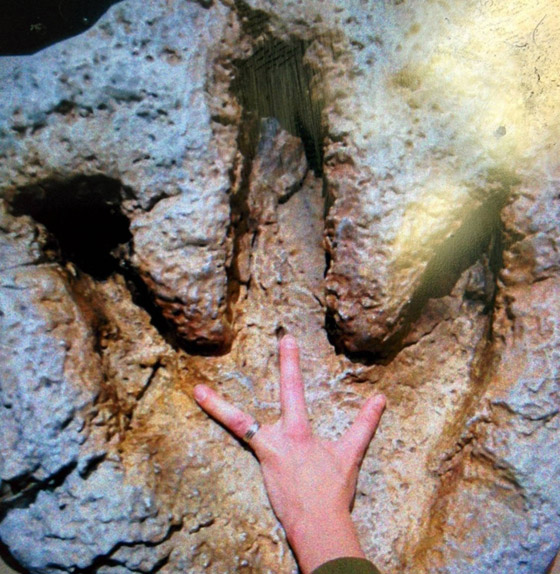 مميزون عن غيرهم.. شاهد أشخاص وحيوانات بعلامات غريبة على أجسامهم صورة رقم 15