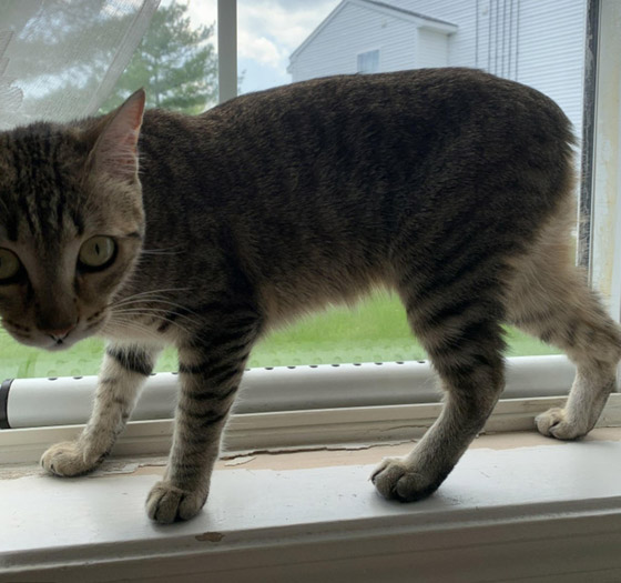 مميزون عن غيرهم.. شاهد أشخاص وحيوانات بعلامات غريبة على أجسامهم صورة رقم 10