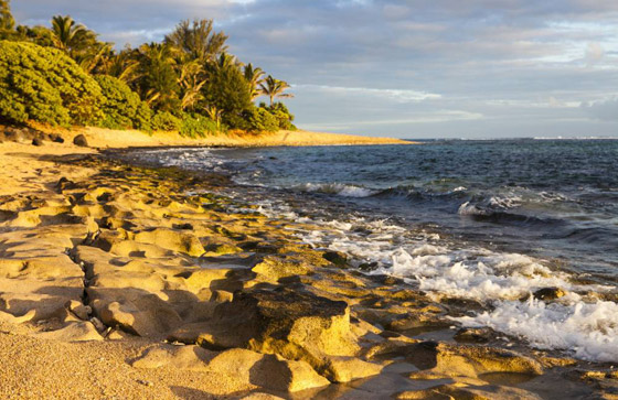 بالصور: تعرفوا إلى أجمل الجزر الاستوائية حول العالم صورة رقم 2