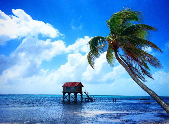 بالصور: تعرفوا إلى أجمل الجزر الاستوائية حول العالم صورة رقم 3