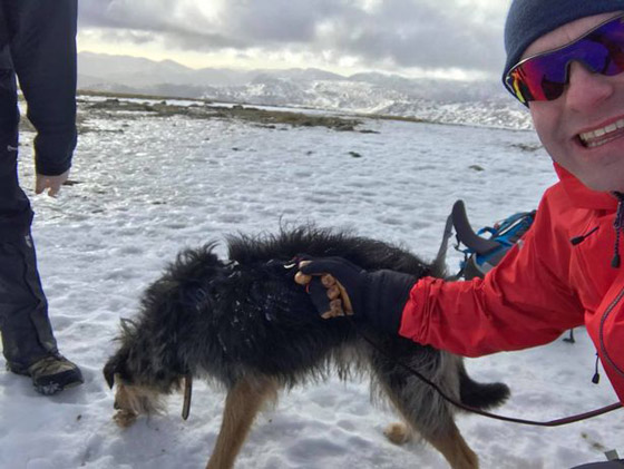 كلب ينقذ حياة متسلق بتدفئته 13 ساعة صورة رقم 5