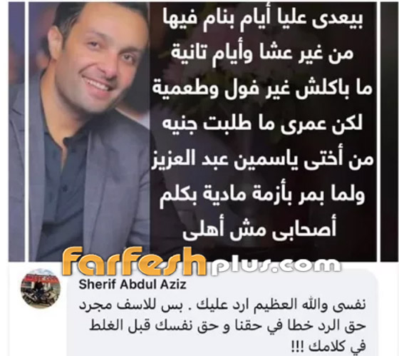 شقيق ياسمين عبد العزيز: شقيق ياسمين عبد العزيز: