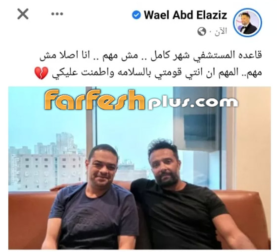 شقيق ياسمين عبد العزيز: شقيق ياسمين عبد العزيز: