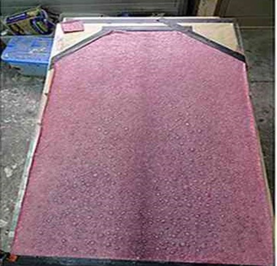 أكبر لسان في العالم: يعادل حجم شاحنة كبيرة والصور ستفاجئك صورة رقم 3