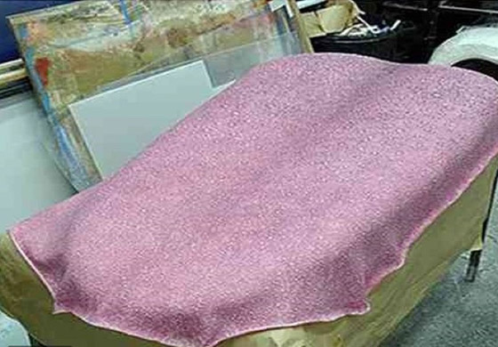 أكبر لسان في العالم: يعادل حجم شاحنة كبيرة والصور ستفاجئك صورة رقم 1