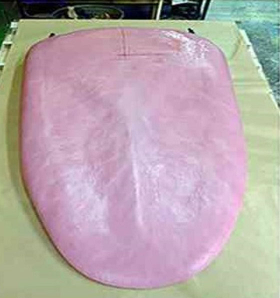 أكبر لسان في العالم: يعادل حجم شاحنة كبيرة والصور ستفاجئك صورة رقم 5