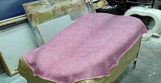 أكبر لسان في العالم: يعادل حجم شاحنة كبيرة والصور ستفاجئك صورة رقم 6