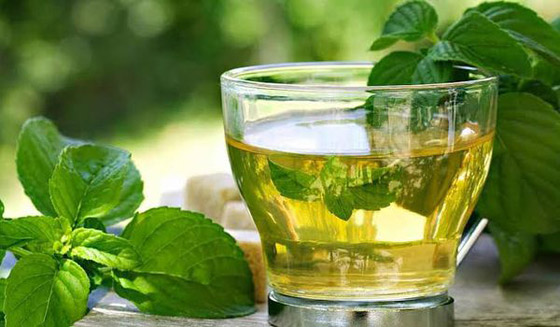 أطعمة تطهر الرئة من السموم صورة رقم 7