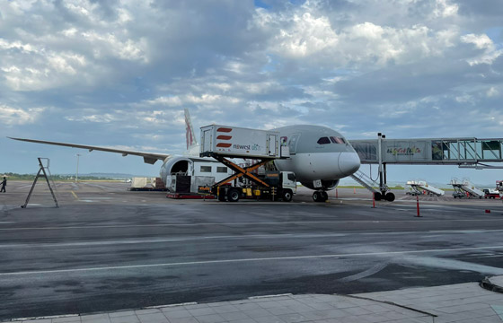 وُصفت بالمعجزة: طبيبة تساعد سيدة على الولادة بطائرة فوق الأجواء المصرية صورة رقم 3