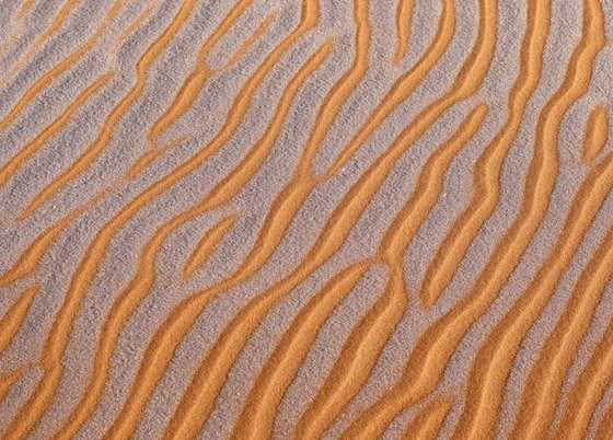 ظاهرة غريبة.. أكبر صحراء حارة في العالم مغطاة بالثلوج! صور صورة رقم 4 ظاهرة غريبة.. أكبر صحراء حارة في العالم مغطاة بالثلوج! صور صورة رقم 4