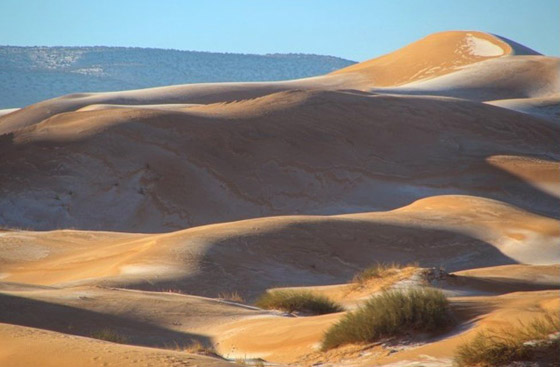 ظاهرة غريبة.. أكبر صحراء حارة في العالم مغطاة بالثلوج! صور صورة رقم 5 ظاهرة غريبة.. أكبر صحراء حارة في العالم مغطاة بالثلوج! صور صورة رقم 5