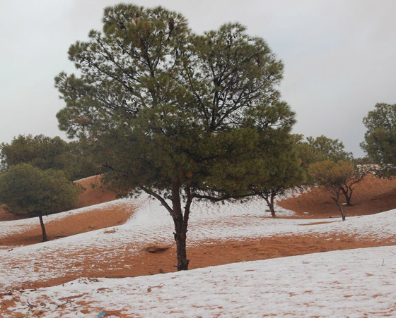 ظاهرة غريبة.. أكبر صحراء حارة في العالم مغطاة بالثلوج! صور صورة رقم 7 ظاهرة غريبة.. أكبر صحراء حارة في العالم مغطاة بالثلوج! صور صورة رقم 7