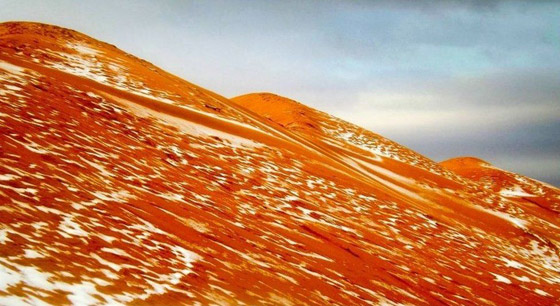 ظاهرة غريبة.. أكبر صحراء حارة في العالم مغطاة بالثلوج! صور صورة رقم 8 ظاهرة غريبة.. أكبر صحراء حارة في العالم مغطاة بالثلوج! صور صورة رقم 8