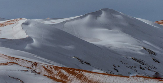 ظاهرة غريبة.. أكبر صحراء حارة في العالم مغطاة بالثلوج! صور صورة رقم 11 ظاهرة غريبة.. أكبر صحراء حارة في العالم مغطاة بالثلوج! صور صورة رقم 11