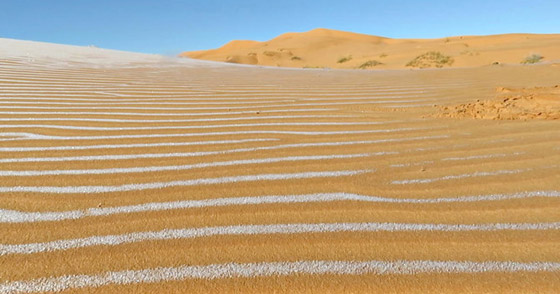 ظاهرة غريبة.. أكبر صحراء حارة في العالم مغطاة بالثلوج! صور صورة رقم 20 ظاهرة غريبة.. أكبر صحراء حارة في العالم مغطاة بالثلوج! صور صورة رقم 20