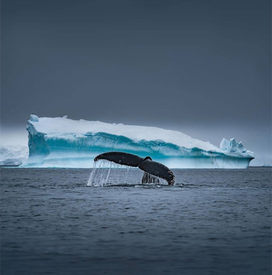 بالصور: إليكم أجمل الأماكن والوجهات في العالم للاستمتاع بجمال الشتاء صورة رقم 2
