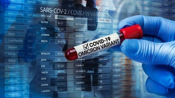 أهم الفروق بين سلالتي أوميكرون الشبح والأصلية، وما نعلمه عن فيروس كورونا الجديد القادم من الخفافيش صورة رقم 6