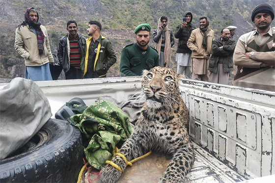 إليكم نبذة مصورة لأهم أحداث الأسبوع من مختلف أنحاء العالم صورة رقم 8 إليكم نبذة مصورة لأهم أحداث الأسبوع من مختلف أنحاء العالم صورة رقم 8