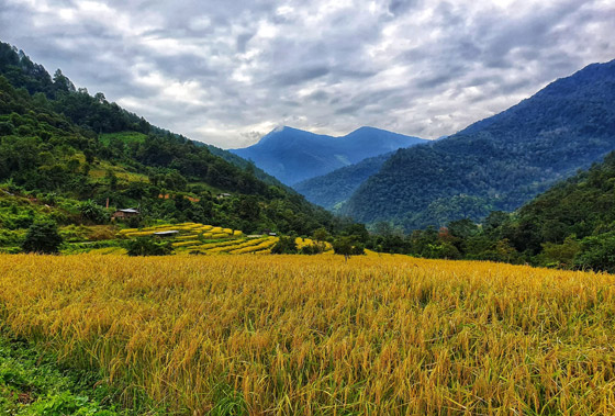 يستغرق عبوره شهرا! إعادة افتتاح مسار قديم ببوتان لأول مرة منذ 60 عاما صورة رقم 14