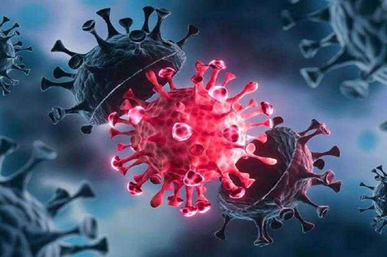 أهم الفروق بين سلالتي أوميكرون الشبح والأصلية، وما نعلمه عن فيروس كورونا الجديد القادم من الخفافيش صورة رقم 8