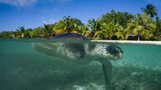 إليكم جولة مصورة لأجمل وجهات سياحية قد تهمكم لعام 2022 صورة رقم 1