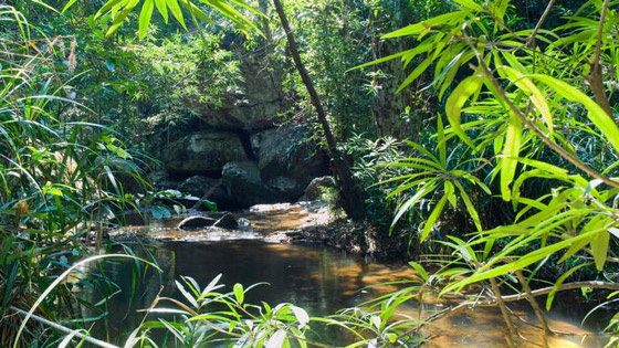 إليكم جولة مصورة لأجمل وجهات سياحية قد تهمكم لعام 2022 صورة رقم 2