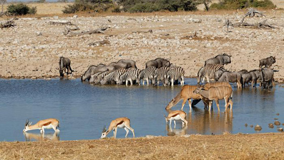 إليكم جولة مصورة لأجمل وجهات سياحية قد تهمكم لعام 2022 صورة رقم 4
