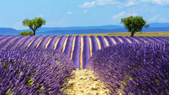 إليكم جولة مصورة لأجمل وجهات سياحية قد تهمكم لعام 2022 صورة رقم 8