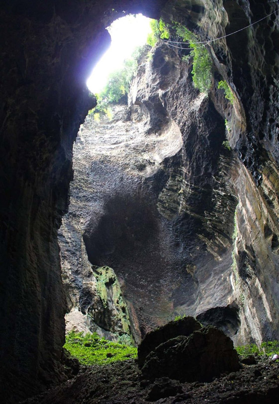 أروع العجائب الطبيعية التي يمكنك زيارتها أبرزهم الغابة الانتحارية صورة رقم 9