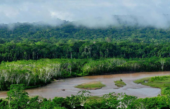 أروع العجائب الطبيعية التي يمكنك زيارتها أبرزهم الغابة الانتحارية صورة رقم 4