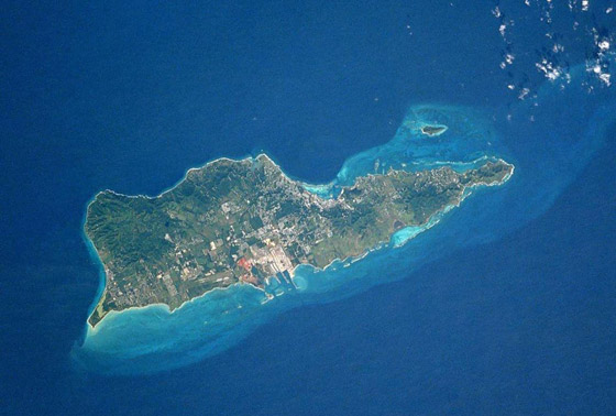 أروع العجائب الطبيعية التي يمكنك زيارتها أبرزهم الغابة الانتحارية صورة رقم 7