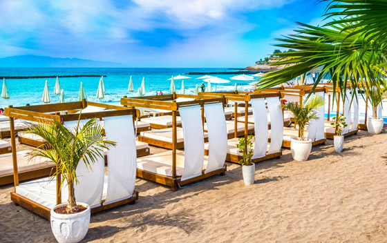 بالصور: تعرفوا إلى 