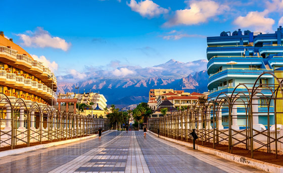 بالصور: تعرفوا إلى 