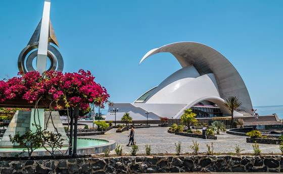 بالصور: تعرفوا إلى 