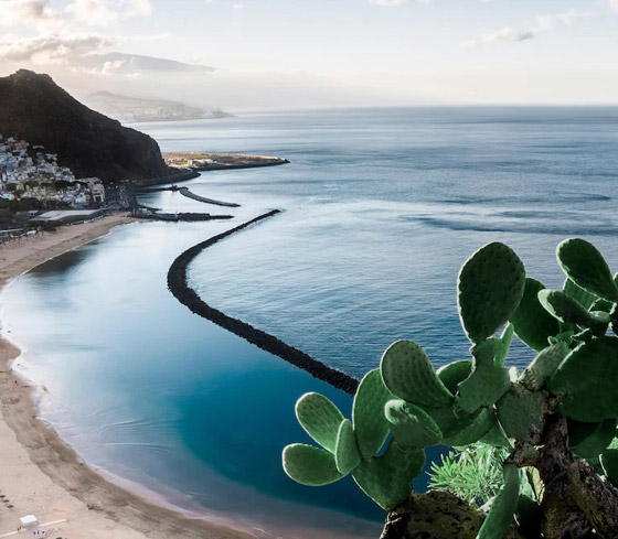 بالصور: تعرفوا إلى 