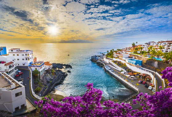 بالصور: تعرفوا إلى 