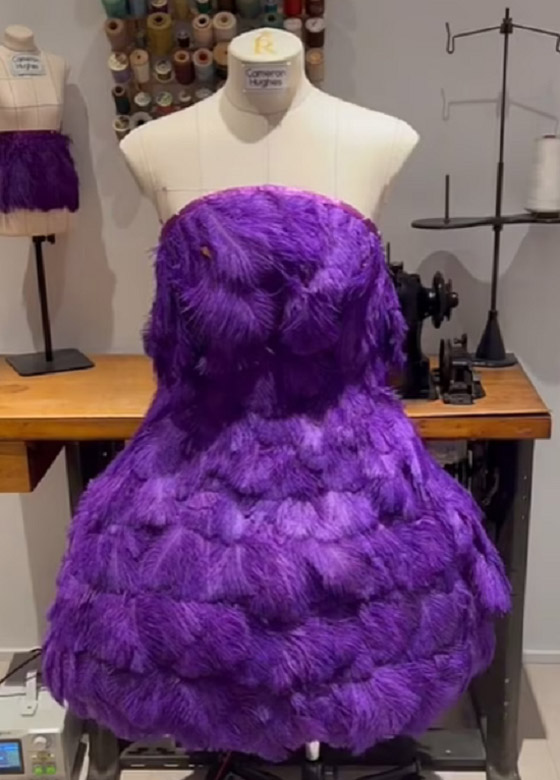 بالصور :أمريكى صمم فساتين تتنفس وتطبع ورق ويحلم بالتصميم لـ ليدى جاجا صورة رقم 5