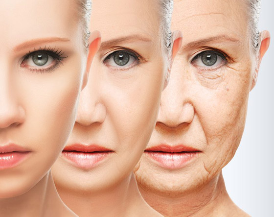أبرزها السكر المضاف.. عادات غذائية تضيف 10 سنوات لعمرك الحقيقي صورة رقم 6 أبرزها السكر المضاف.. عادات غذائية تضيف 10 سنوات لعمرك الحقيقي صورة رقم 6